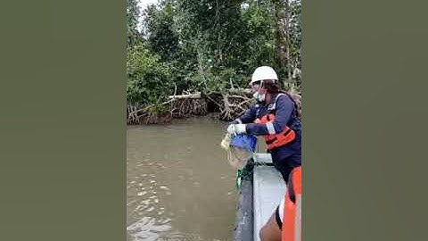 EES FDG Video 2021 11 02