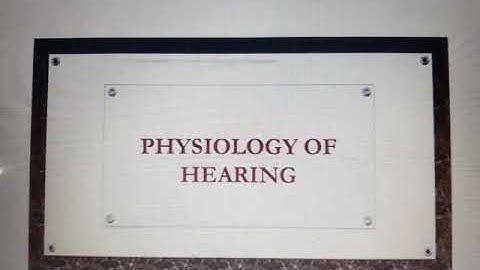 Lateral line system and mechanoreception