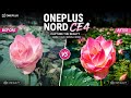 DSLR Style Flower Photo Editing in OnePlus Nord CE4 | Mobile Photography