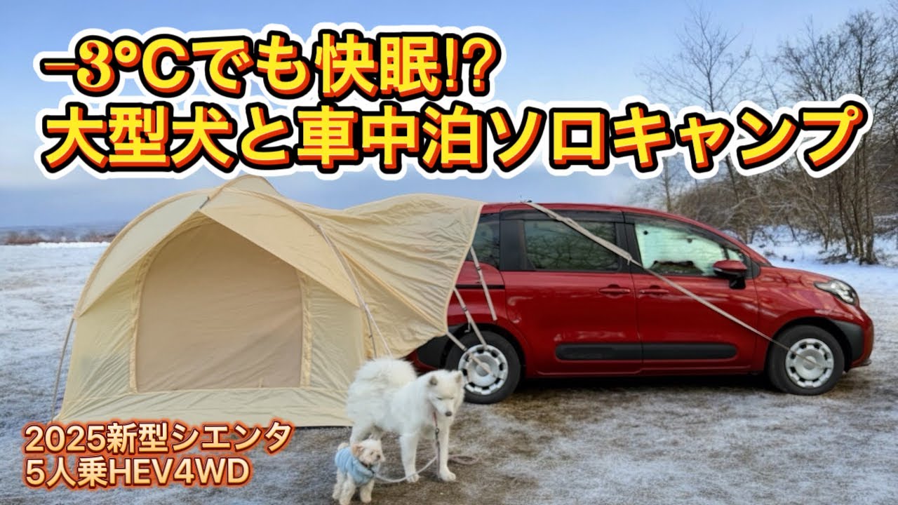 【−3℃でも快眠】新型シエンタで大型犬と車中泊キャンプ｜寒さ対策＆新アイテム