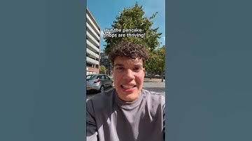 Do you want to open a succesful business in The Netherlands? Then open a pancake shop!