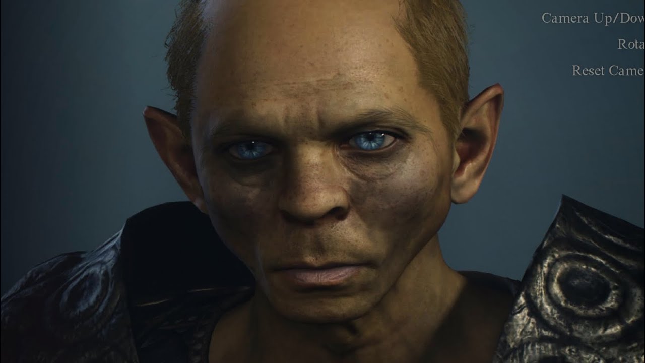 Dragons dogma 2 character creator