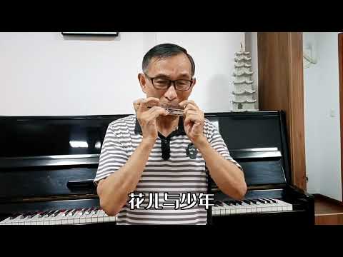 复音口琴清吹版《花儿与少年》，G自然小调口琴吹奏，清吹也好听