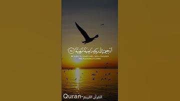 قرآن|يأيتها النفس المطمئنة|سورة الفجر الآيه ٢٧|#قرآن #قران_كريم #سورة_الفجر