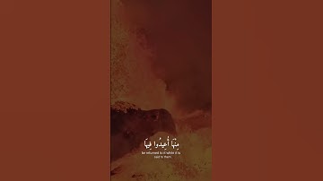 القارئ عبدالرحمن مسعد - ريلز بدون حقوق HD