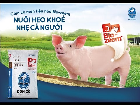 Phim Quảng Cáo Cám bổ sung Bio-Zeem™ - Cám Con Cò và Anco