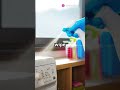 How To Keep Your Washing Machine Smelling Fresh Always