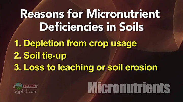 Micronutrients #814 (Air Date 11/10/13)