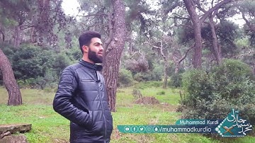 سورة الشمس بصوت محمد سید جلال الكردي