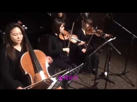 웨딩연주업체, 웨딩연주, 결혼식연주, 역삼아모리스, Rainbow Bridge 식전연주