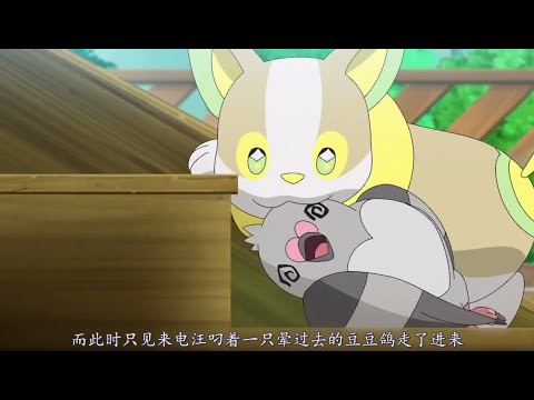 宝可梦新无印29集速看：小椿原来是这样和来电旺交好的，这集来电旺吃醋的样子真可爱