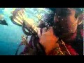 badrinath movie fight-love towards god