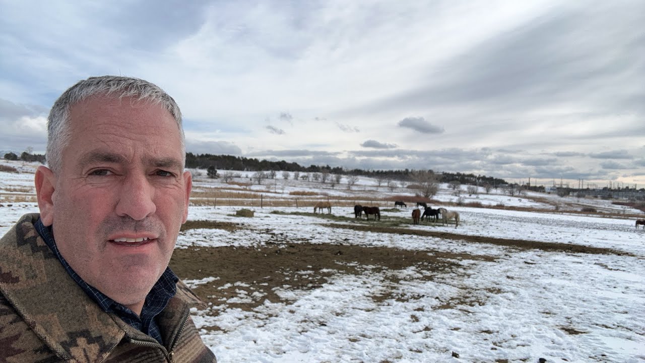 VISITING MARTIN’S QUARTER HORSES YouTube