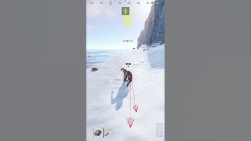 Oink Oink Little Piggy  #adminabuse #rust #camomo #gaming  #gamingpc #rustgame