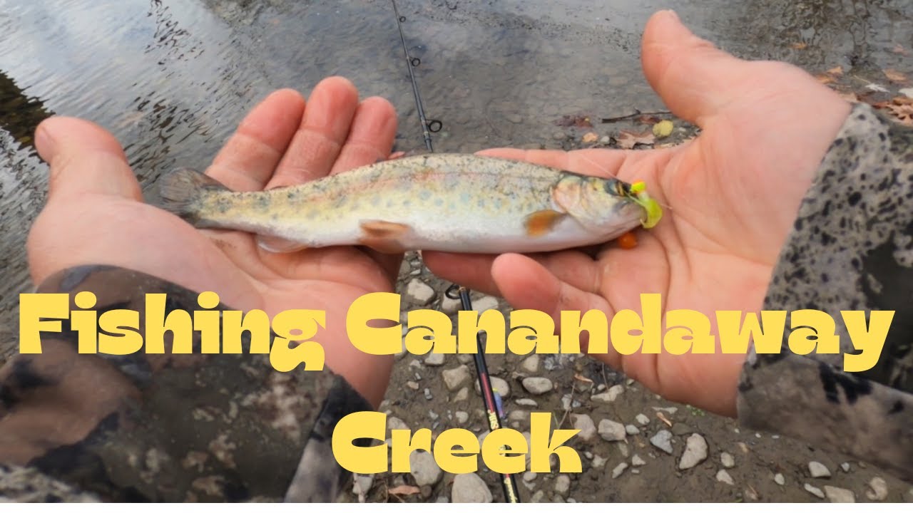 Fishing Canandaway Creek