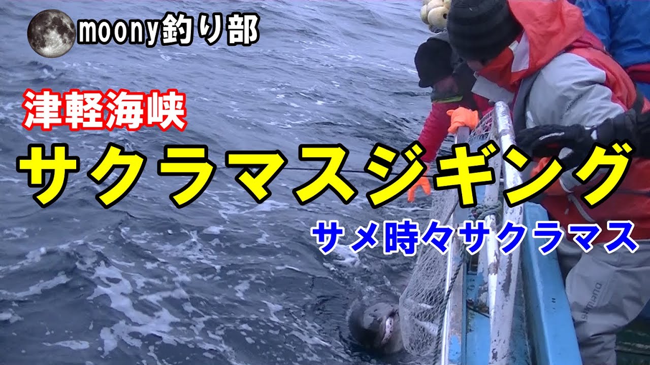 「サクラマスジギング」津軽海峡サクラマスジギング　サメ時々サクラマス