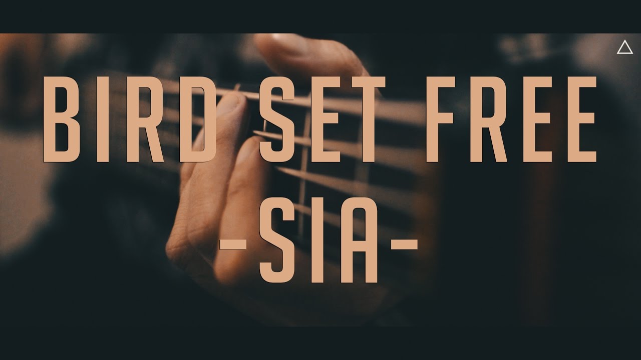 Sia - Bird Set Free (Rock Cover)