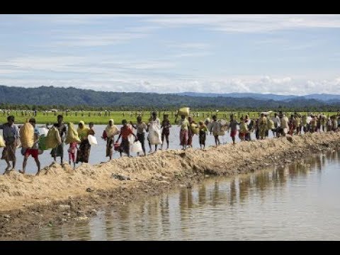 Доклад ООН: высшее военное командование Мьянмы должно нести ответственность за геноцид