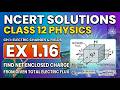 Exercise 1.16 Solution - Class 12th NCERT Physics Chapter 1 - Electric Charges and Fields (C.B.S.E)