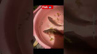 e58e8be794b5e793b7e7a096e79a84e5b7a5e4bd9ce58e9fe790