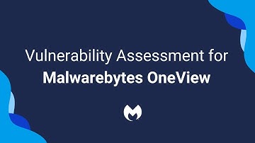 Vulnerability Assessment for OneView