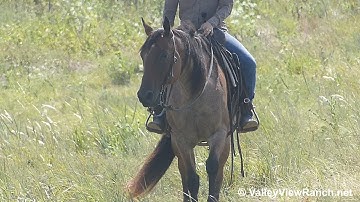 Bri Osage Wiggy - trail riding! - ValleyViewRanch.net