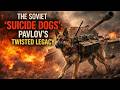The Soviet Suicide Dogs Pavlov’s Twisted Legacy