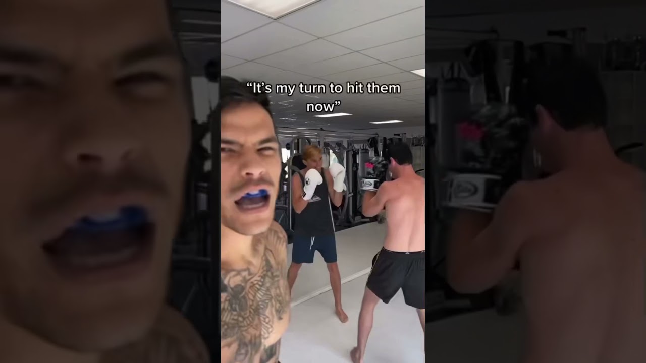 Punch a Pro Fighter in the Face!