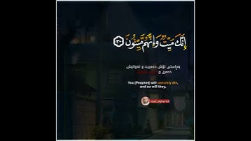 سعد الغامدي حالات واتس اب دينية سورة الزمر قرآن الكريم 🥺