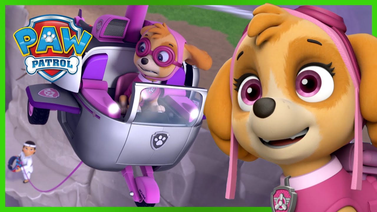 skye-saves-a-monkey-in-the-jungle-and-more-rescues-paw-patrol