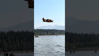SUPER SCOOPER AIRCRAFT COLLECTS WATER FOR LARGE FOREST FIRE!