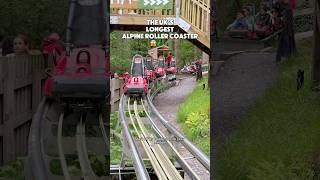 We tried the UK’s LONGEST alpine rollercoaster 😱