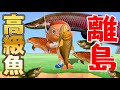 【カズ森】 激レア！高級魚だらけの島にきました！あつまれどうぶつの森 PART78