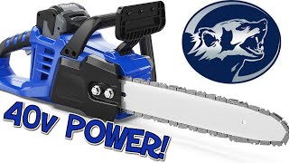 Best Electric Chainsaw? Cuts through logs like Butter!