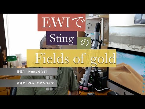 EWIでFields of Gold 演奏／Sting／スティング
