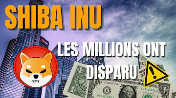 Pourquoi investir sur le shiba