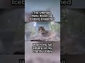 Old Timer - Ultimate Hello Street Cat iceberg explained