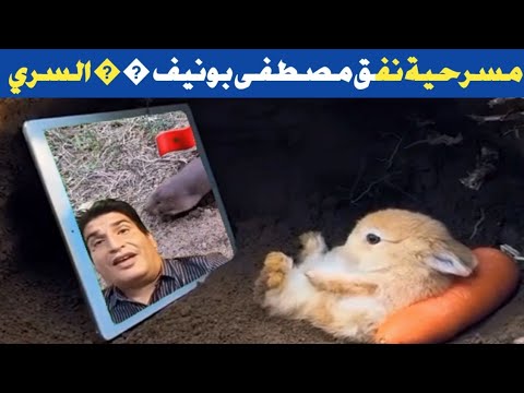 طاطا علجية المحللة الإستراتيجية لدولة العسكر و النفق السري المروكي 