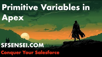 Primitive Variables in Salesforce Apex | SF Sensei