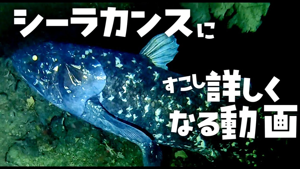 Learning a Little Bit More About Coelacanths [VOICEROID