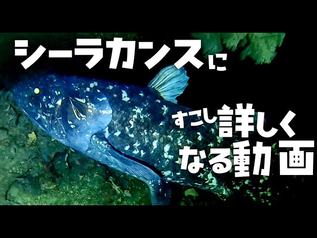 Learning a Little Bit More About Coelacanths [VOICEROID