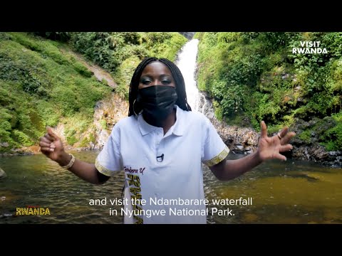 فيديو: منتزه Nyungwe Forest الوطني ، رواندا: الدليل الكامل