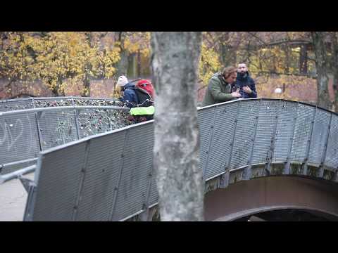 Salmon in Akerselva, centre of Oslo