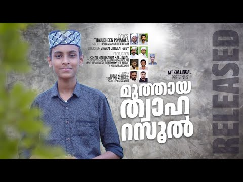 മുത്തായ ത്വാഹ നബീ |Nabidina Song മീലാദ് സോങ്|Hisham Angadippuram | Thajudden ponmala | MT kallingal