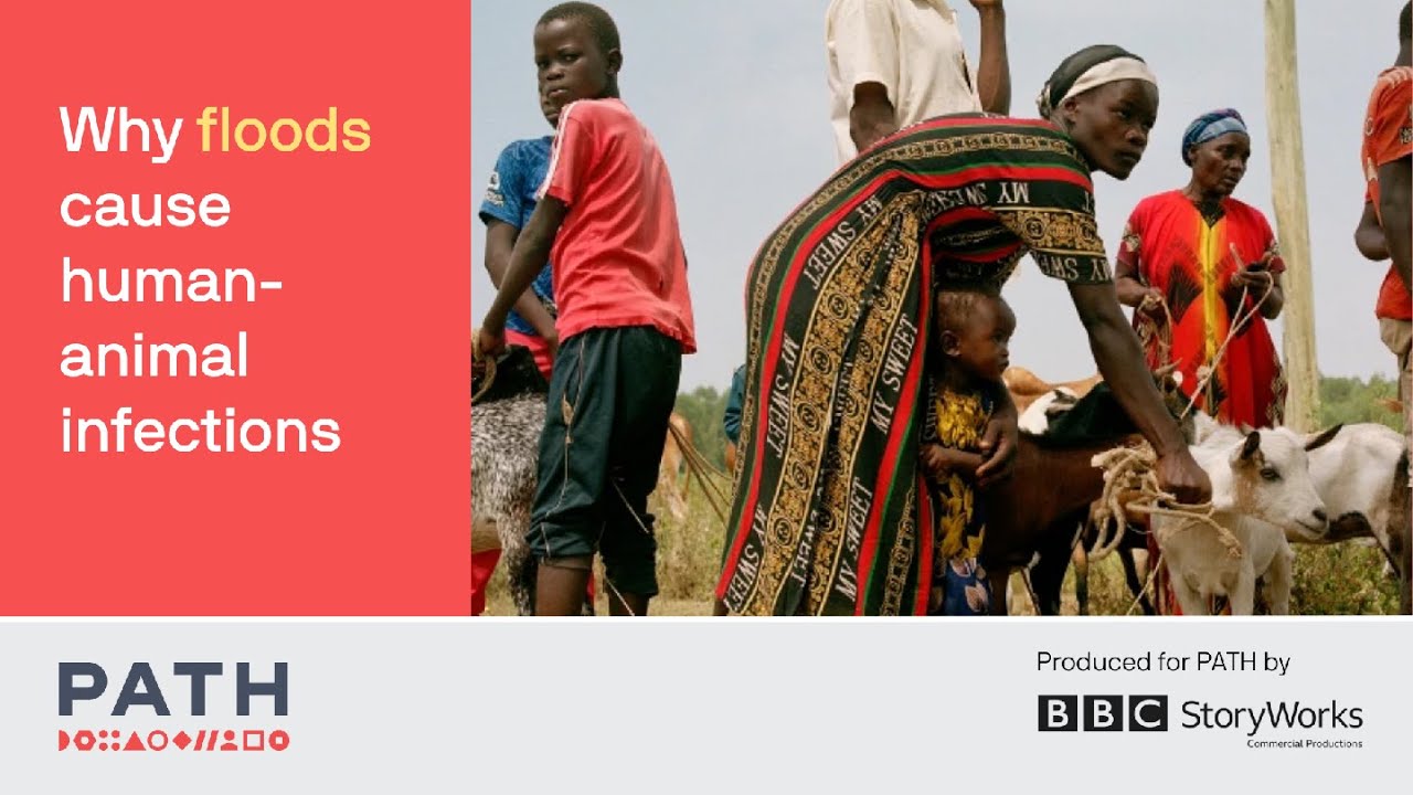 Why do floods cause human-animal infections?