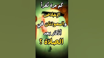 كم مرة تقرأ الإخلاص و المعوذتان في أذكار بعد الصلاة ؟ #عثمان_الخميس