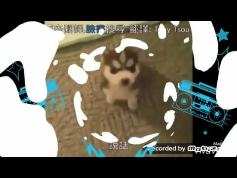 開場