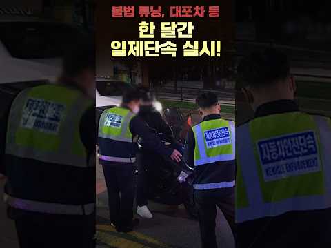 불법 자동차 상반기에만 17.8만여 건 적발?! 하반기 단속 강화된다!🚗