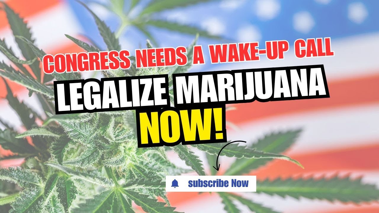 Sander Hicks Takes on Congress: Legalize Marijuana & Reclaim Our Rights!
