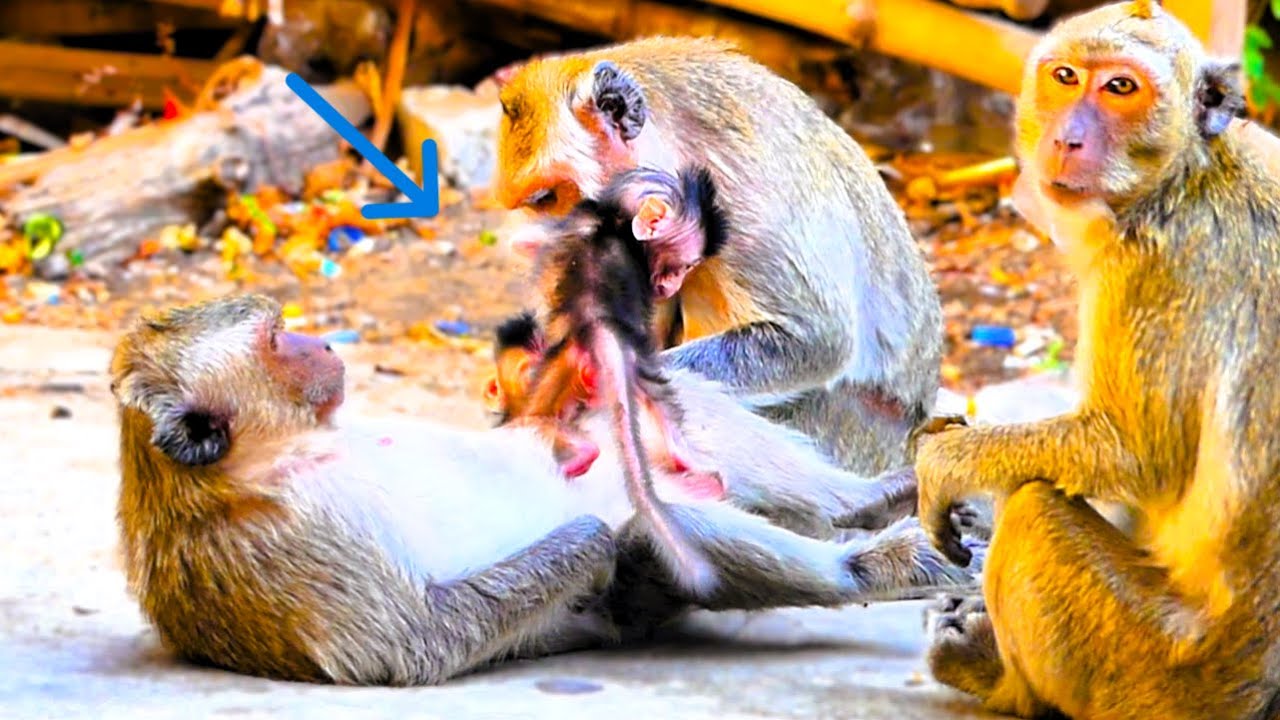 The Warmest Place Is Mom’s Belly